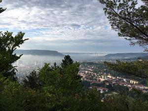Blick vom Landgrafen auf Jena im Saaletal in Richtung Süden mit Wolken, Nebelschwaden und Bäumen