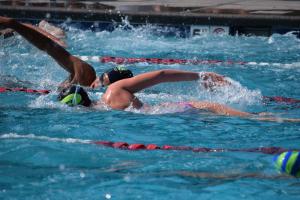 Mehrere Schwimmer im Sportbecken mit Badekappen beim Kraulen