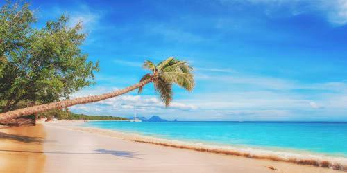 Urlaubsbild mit Strand und Palmen