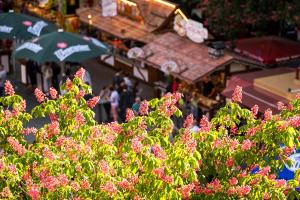 Blick auf den Jenaer Frühlingsmarkt - Menschen stehen vor den Ständen